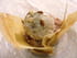 Croustillants aux pommes, figues et cr�me glac�e