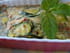 Gratin de courgettes l�ger