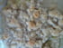 Crumble rhubarbe, banane et noisettes