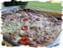 Clafoutis de poulet aux l�gumes