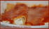Cannellonis brousse et tomates