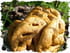 Fougasse aux herbes, olives et tomates s�ch�es