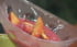 Mousse framboises et yaourt