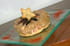 Concass�e d aubergines sur sabl�s au ch�vre
