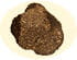 Truffe