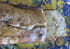 Cake tropical