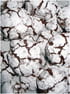 American crinkles