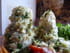 Filets de plie au parmesan, aux anchois et aux �pinards