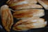Authentique endive brais�e