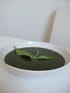 Soupe qui pique (aux orties)