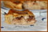 Tourte aux pommes et aux fruits secs