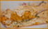 Crumble au potimarron et aux crevettes