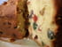 Cake aux fruits confits ou dundee cake