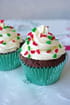 Choco-vanilla cupcakes