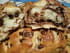 Petits pains viennois marbr�s aux p�pites de chocolat