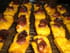 Mini financiers � la courge et � la poitrine fum�e