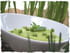 Pur�e de petits pois � la menthe