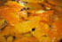 Supr�mes d oranges safran�es au poivre de Sichuan