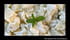 Salade de pommes de terre � la menthe