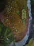 Tarte aux mangues