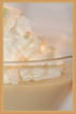 Panna cotta � l Arlequin