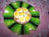 Aspic de jardini�re