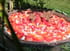 Tarte panna cotta rhubarbe aux fraises 