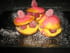 Petits choux chocolat blanc-framboises