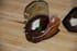 Roul�s d aubergine � l italienne