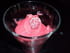 Mon sorbet � la framboise