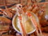 Langoustines et mayonnaise mont�e � la cuill�re