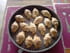 Croissants sal�s fa�on bouch�es ap�ritives