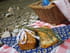 Cake � la tomate confite, jambon cru et d�s de brebis