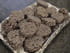 Roul�s de riz soufl� aux carambars et chamallows 