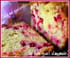 Cake aux groseilles au bon go�t d amande