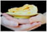 Tourte macarons et pommes
