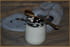 Panna cotta vanille-coco