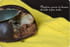Myst�res chocolat tonka, mousse de banane