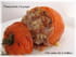 Tomates farcies � la grecque