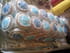B�che cupcakes
