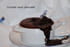 Cocotte tout chocolat