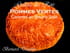 Galette des rois pomme verte caramel beurre sal�