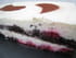 Fondant au chocolat blanc-framboises-citron vert