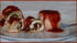 Roulade de poulet vapeur, pesto et tomates s�ch�es
