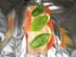 Papillotes de cabillaud � la tomate et basilic