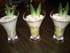 Tiramisu ananas et noix de coco
