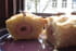 Saucisson en brioche