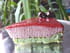 Dacquoise pistache - mousse cerises et framboises