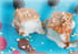 Croquant de nougat glac� sur lit de fruits rouges 