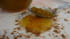 Confiture �pic�e � la mirabelle 
